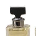 How does versace perfume smell like?